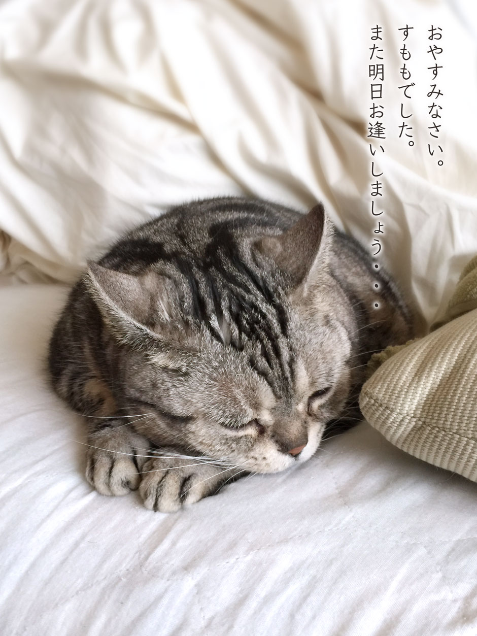 sumomo365_201804_get_up_sleep_01.jpg