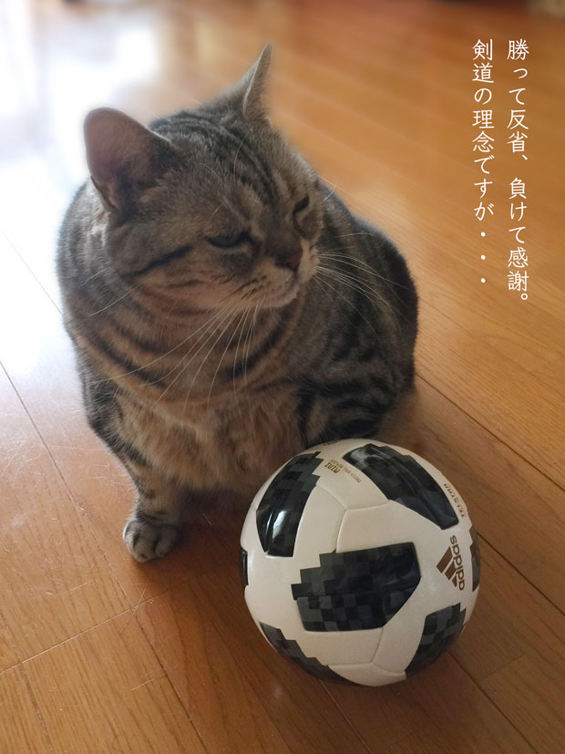 sumomo365_201806_Football_04.jpg
