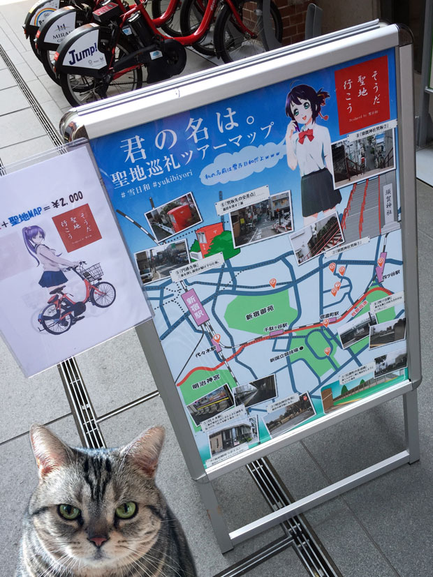sumomo365_20180_Community_Bicycle_03.jpg
