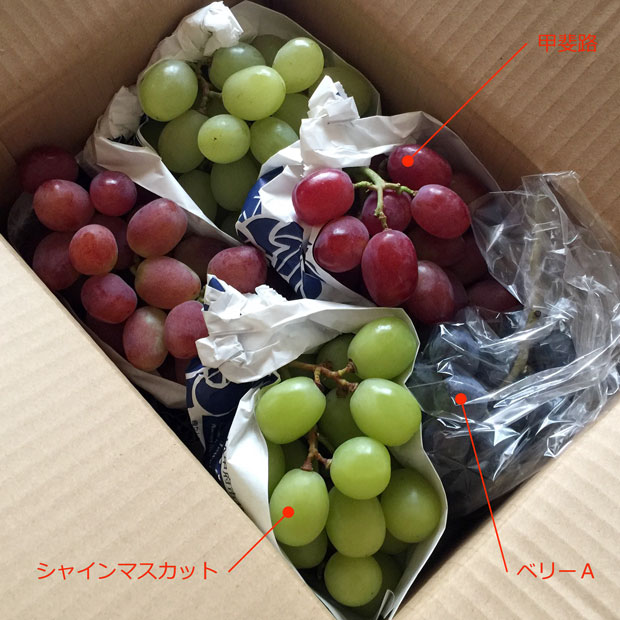 sumomo365_201810_Grape_Thanks_04a.jpg