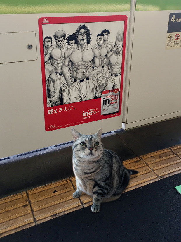sumomo365_201810_To_train_00.jpg