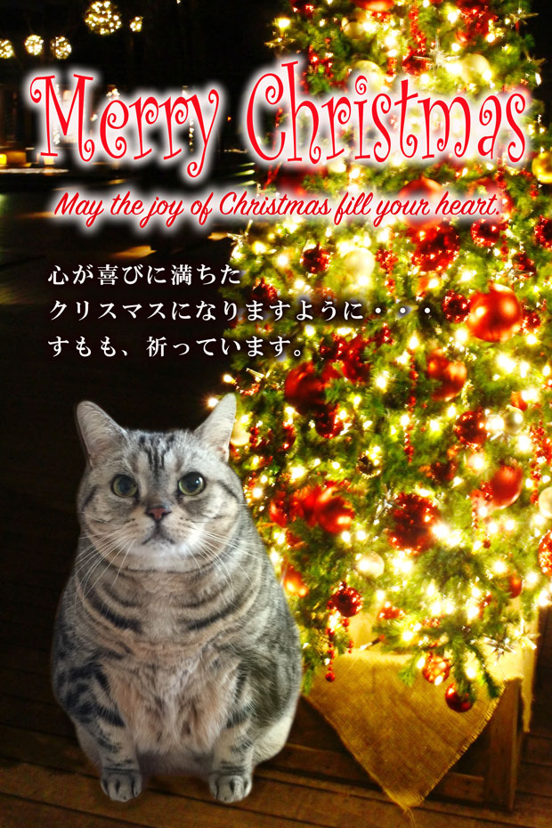 sumomo365_201812_Christmas_00.jpg