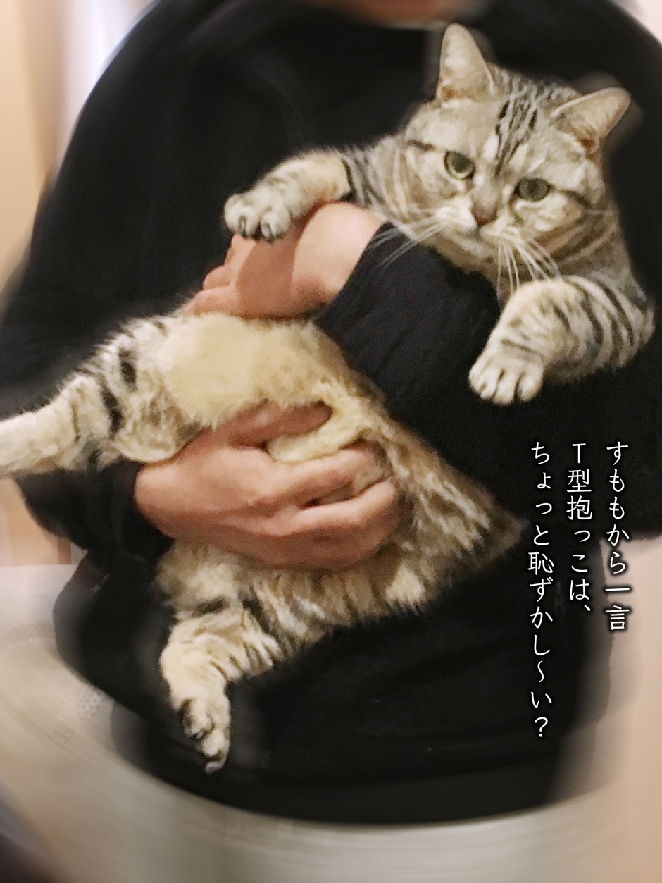 sumomo365_2018_T_type_hug02.jpg