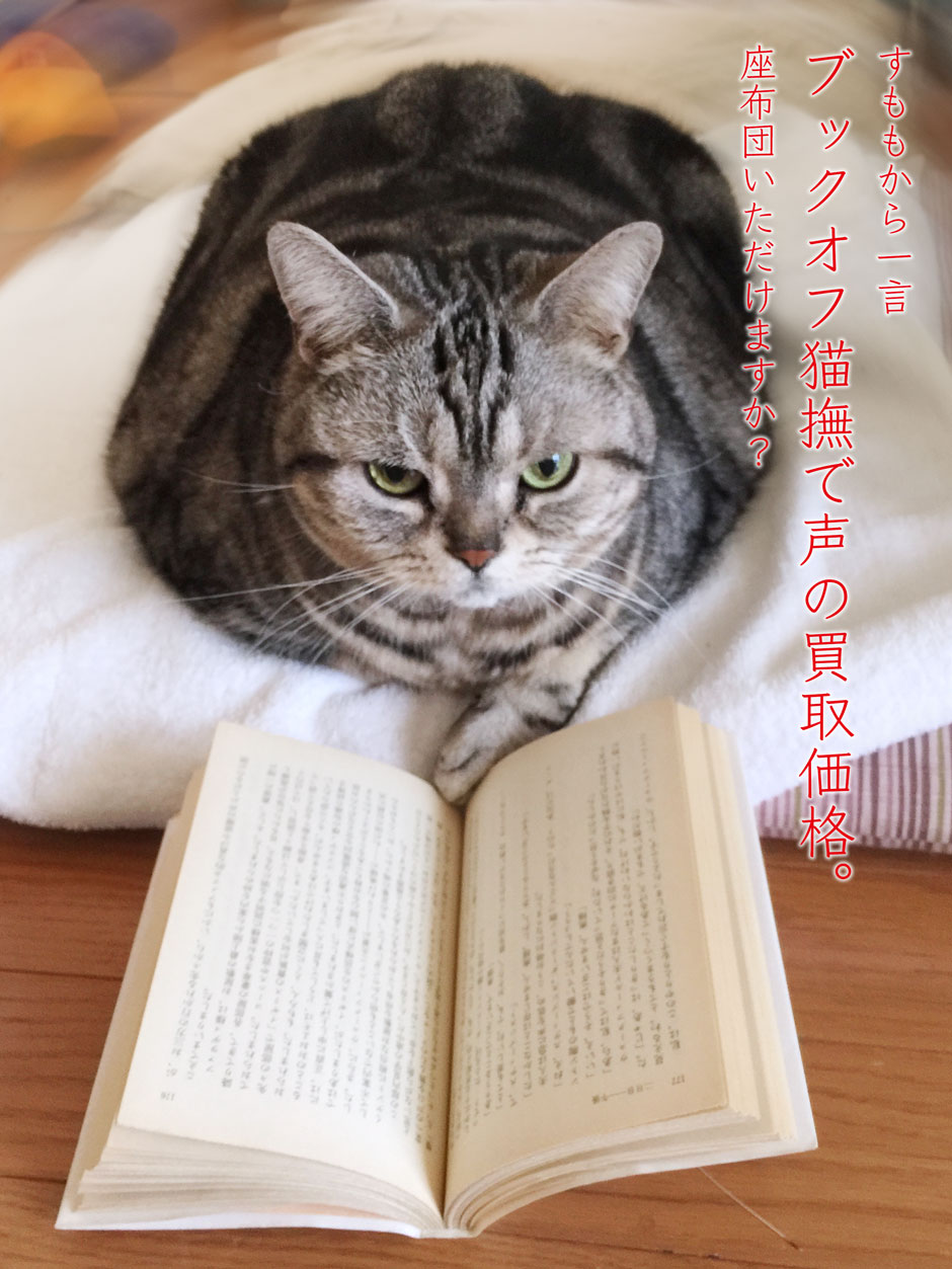 sumomo365_2018_book_off.jpg