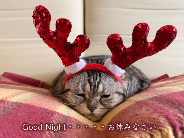 sumomo365_20191224_Merry_Christmas_04.jpg