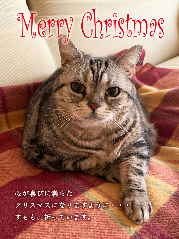 sumomo365_20191224_Merry_Christmas_05.jpg