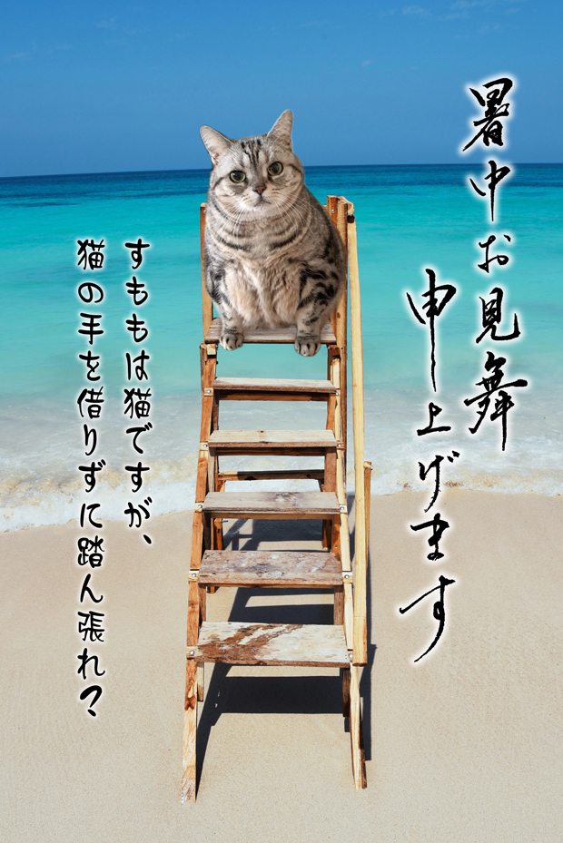 sumomo365_202007_Summer_greeting_card_00.jpg