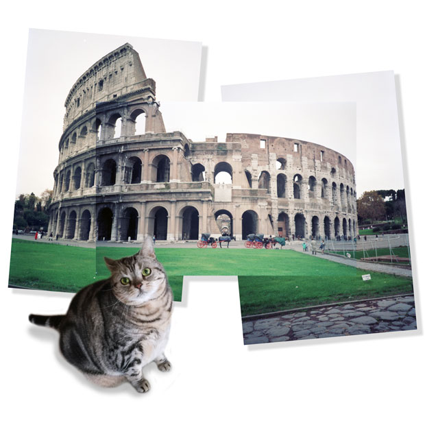 sumomo365_202009_Rome_Colosseum_00.jpg