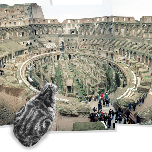 sumomo365_202009_Rome_Colosseum_01.jpg