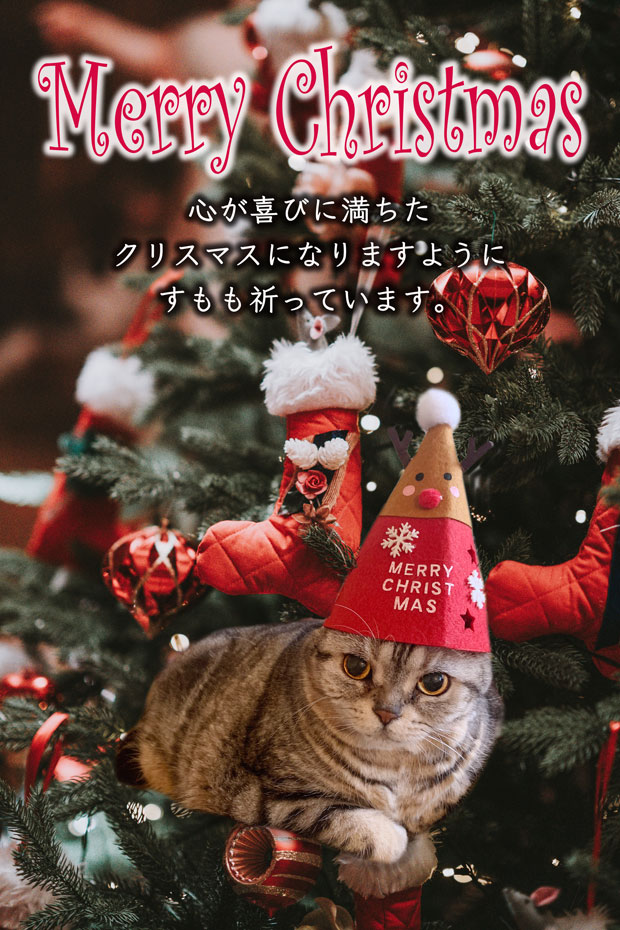 sumomo365_20201225_Merrry_Christmas_000.jpg