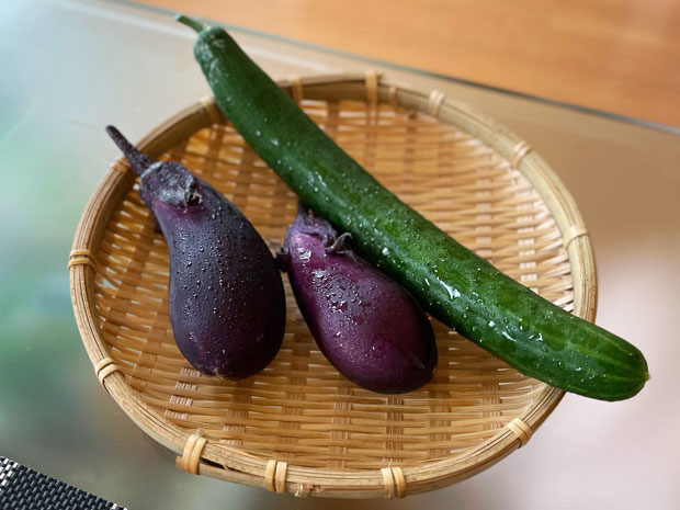 sumomo365_20210616_Eggplant_Cucumber_00.jpg