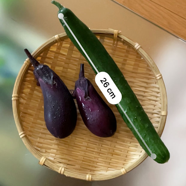 sumomo365_20210616_Eggplant_Cucumber_01.jpg