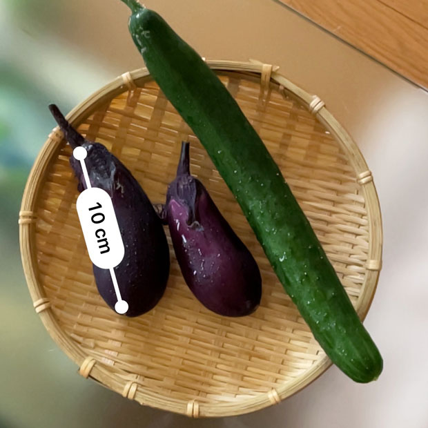 sumomo365_20210616_Eggplant_Cucumber_02.jpg