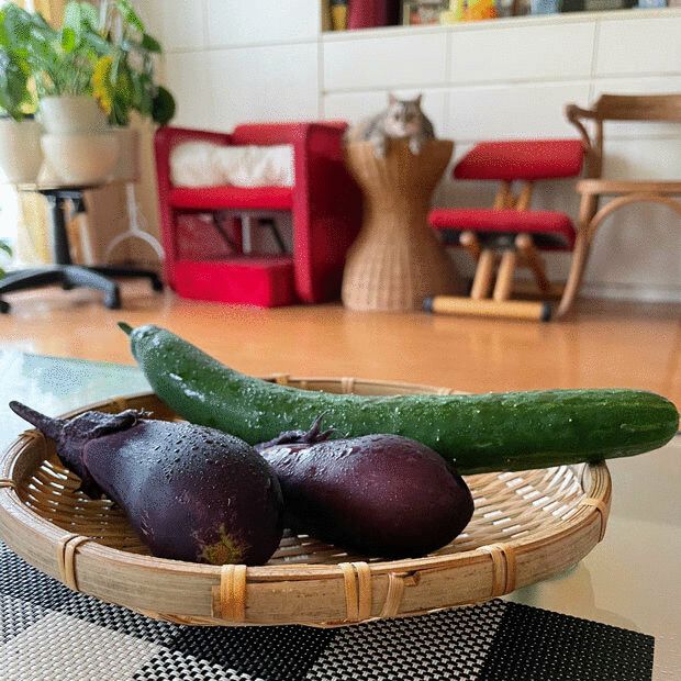 sumomo365_20210616_Eggplant_Cucumber_03_0101.gif