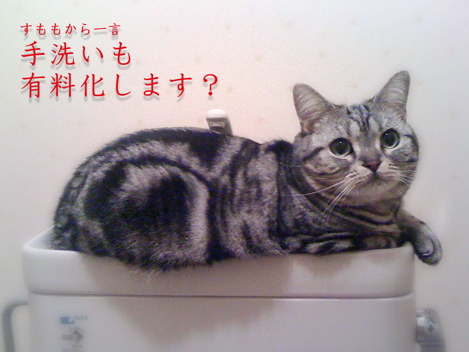 sumomo365_toilet_B2.jpg